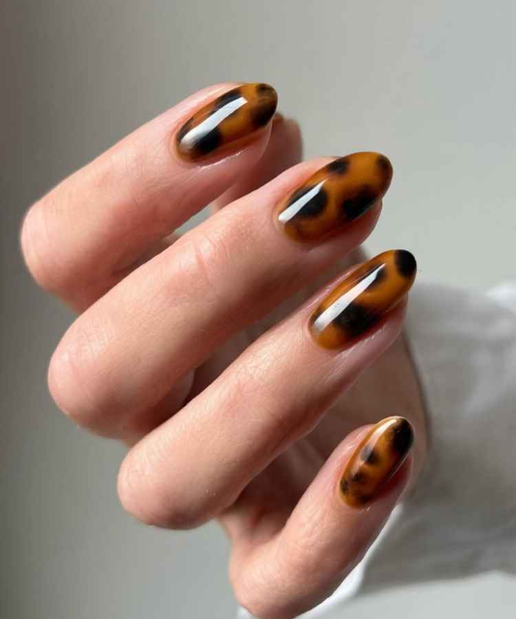 5 ideias de títulos:
1. Esmalte Marrom: A Cor Que Dominará as Tendências de Unhas em 2025/2026
2. Descubra os Tons de Esmalte Marrom Que Você Precisa Ter Agora
3. Guia Completo: Onde Comprar e Quais Marcas Apostar em Esmalte Marrom
4. Do Clássico ao Moderno: Variações de Esmalte Marrom para Todos os Estilos
5. Como Usar Esmalte Marrom: Dicas de Aplicação e Combinações Perfeitas