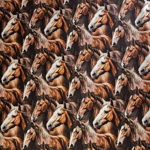 Como Usar Estampas de Cavalo na Moda Country e Urbana