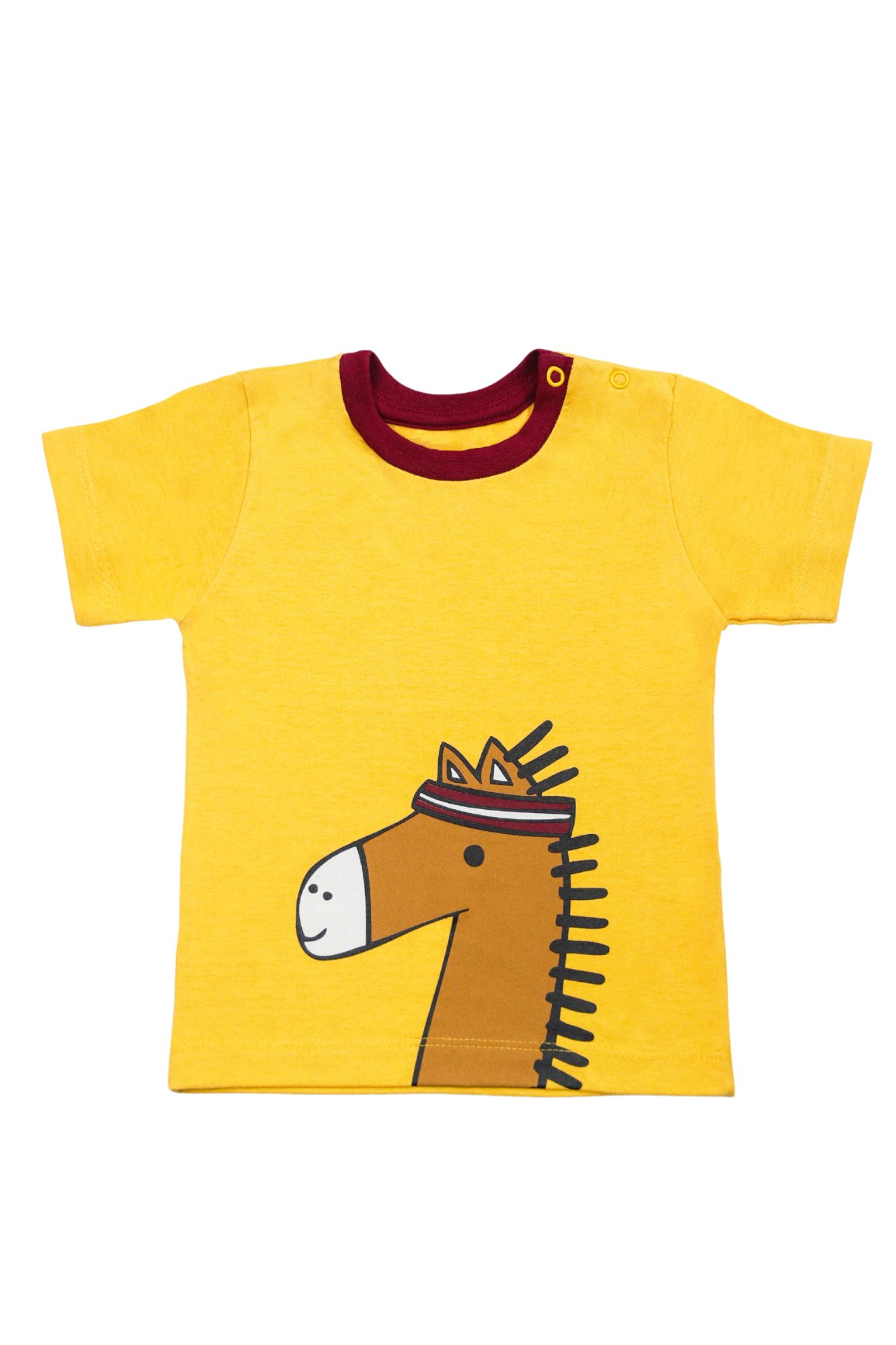 O Simbolismo do Cavalo: Força