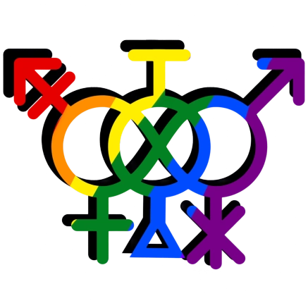 Diferença entre Identidade de Gênero e Orientação Sexual: Guia Completo