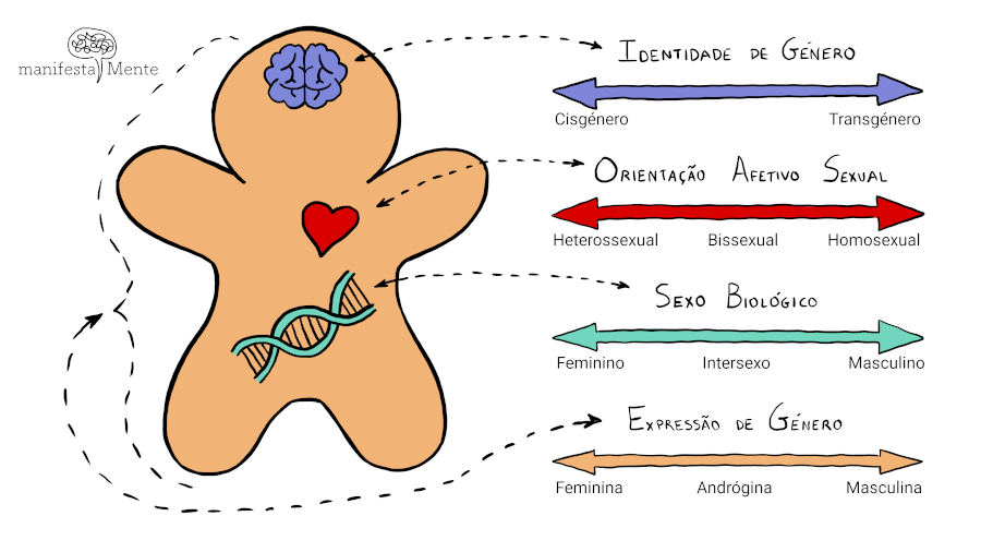 O que é Cisnormatividade e seu Impacto na Sociedade?