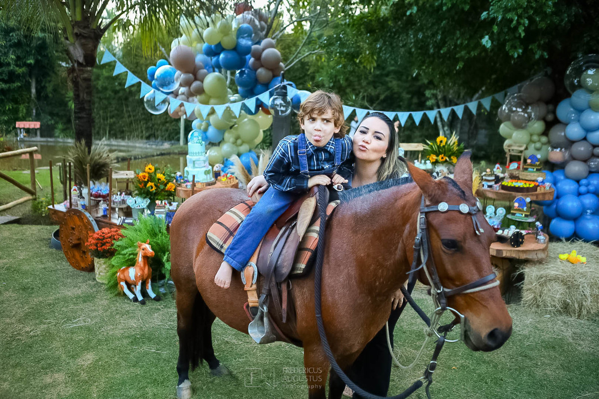 Ideias de cardápio caseiro para festa fazendinha