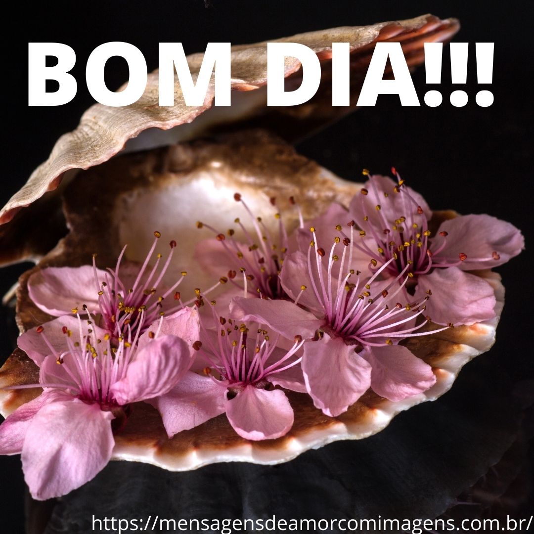 imagens de bom dia para whatsapp
