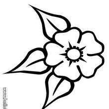 desenhos de rosas para colorir