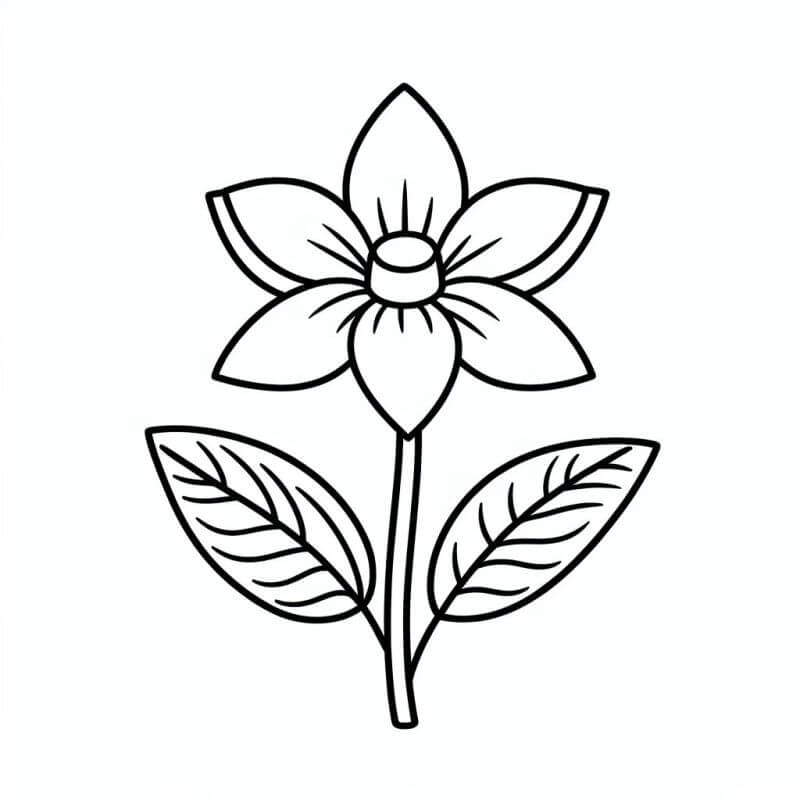 mandalas florais para colorir