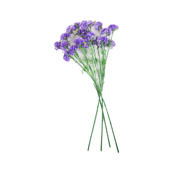 simbolismo da cor roxa em flores