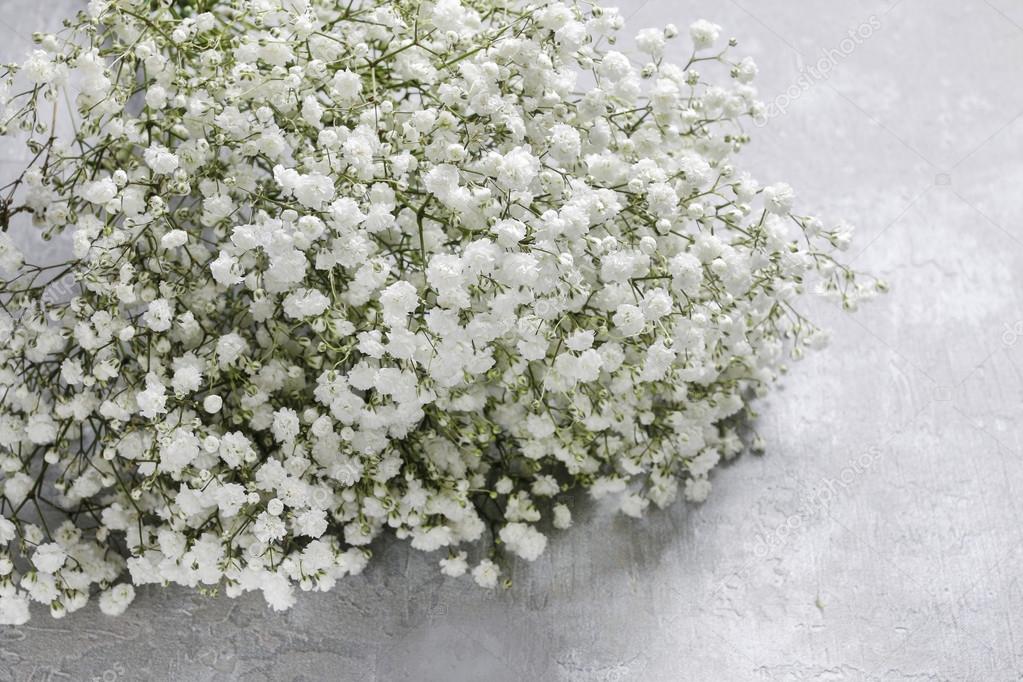 flores brancas de interior