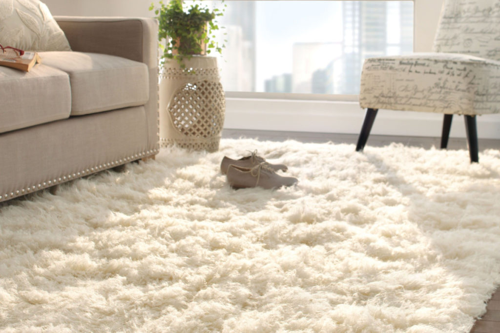 Fotos De Tapetes Para Sala