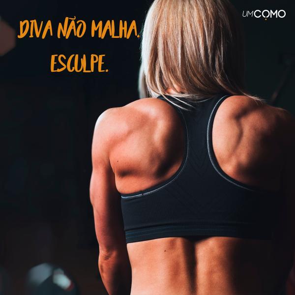 melhores frases de academia para motivar