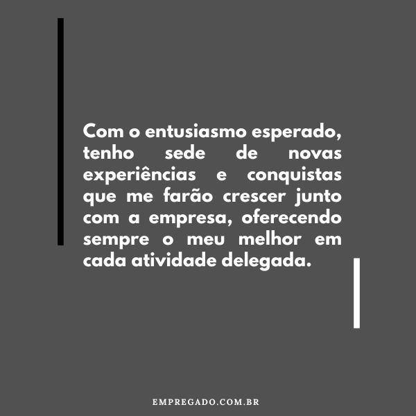citações sobre metas e conquistas
