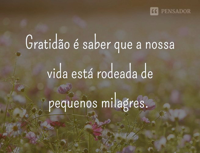 frases de gratidão pela família