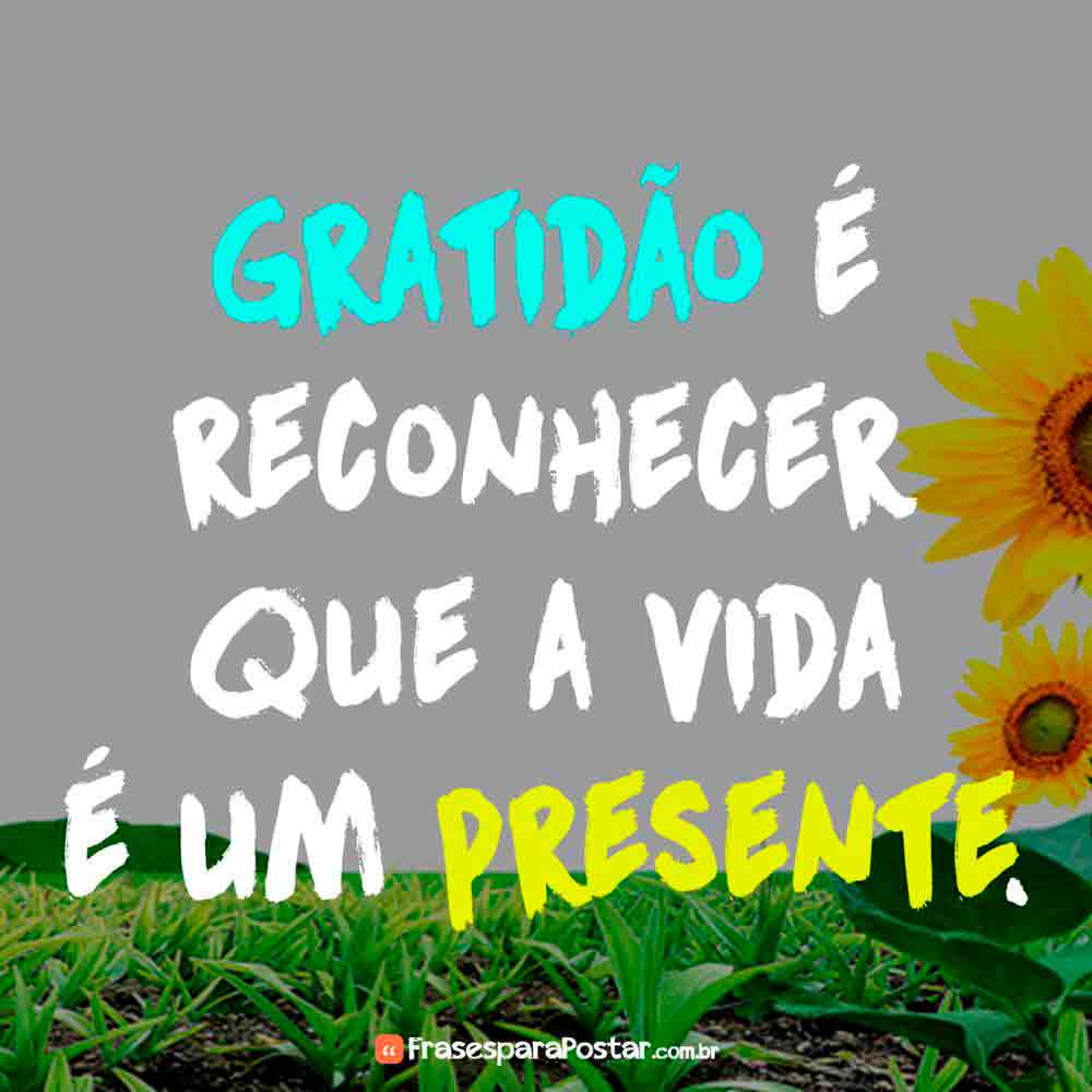 citações sobre ser grato