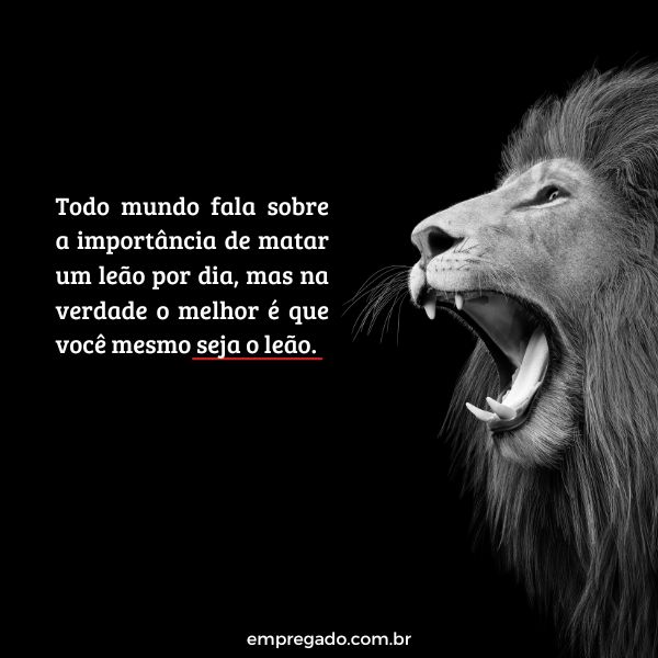 frases de superação