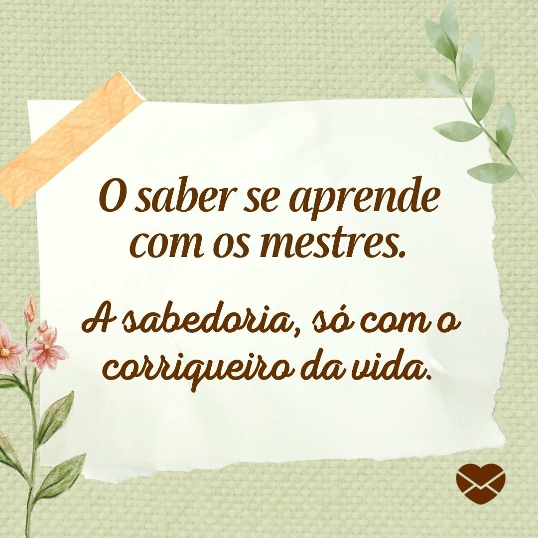 Frases de sabedoria que vão mudar sua forma de ver a vida