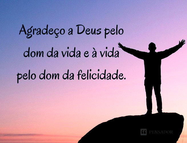 frases de gratidão para status