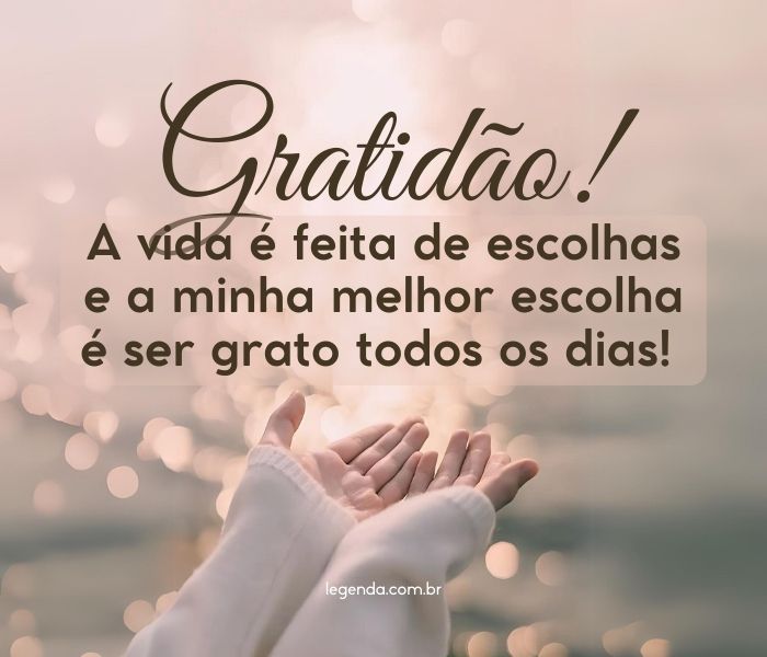 frases de gratidão pela vida