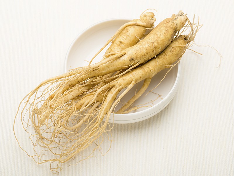 melhores tipos ginseng para turbinar estudos