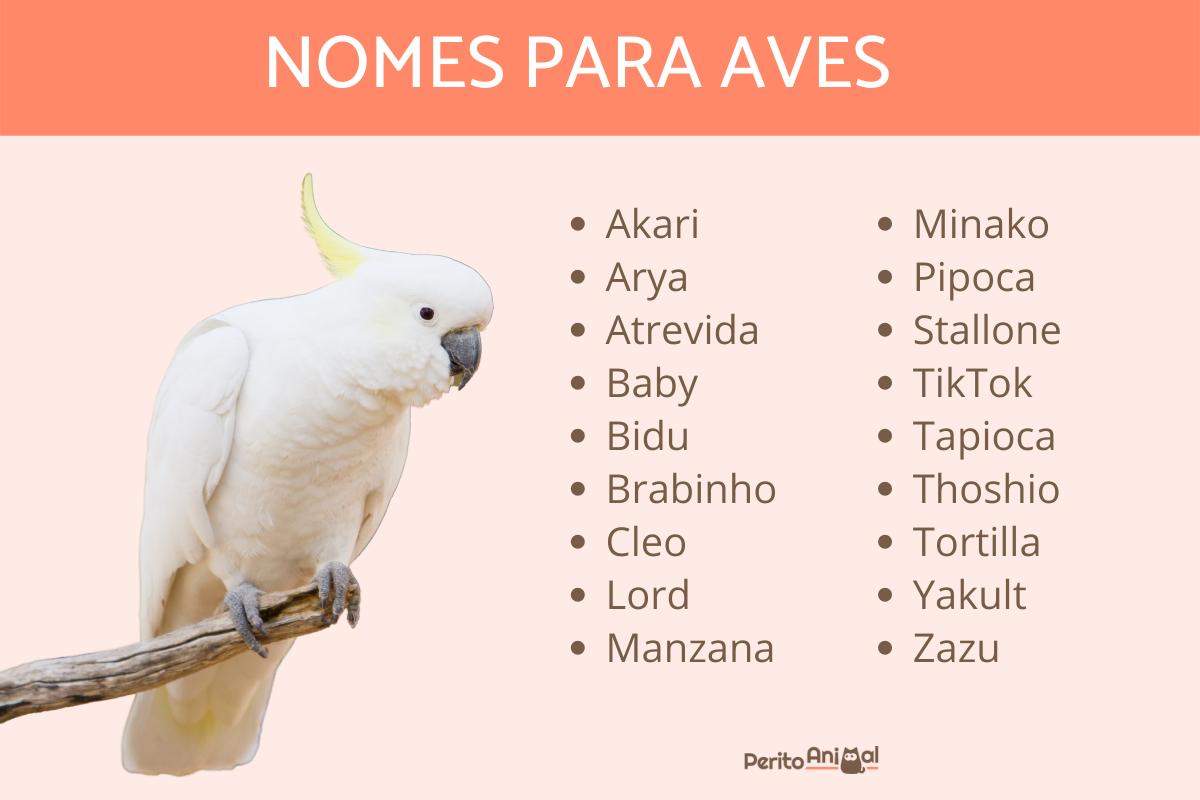 Ideias de nomes de grupos para amigos de infância