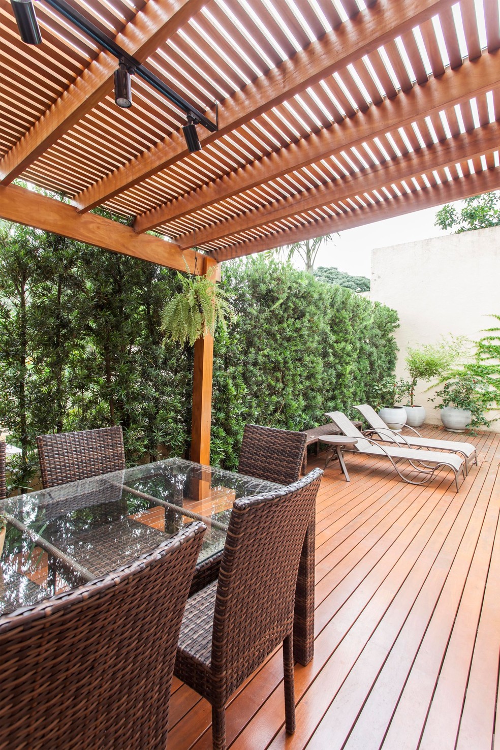 Policarbonato ou Plantas? Qual a Melhor Opção?