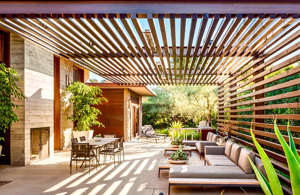 Plantas Trepadeiras para Pergolado: Crie um Oásis Verde em seu Jardim