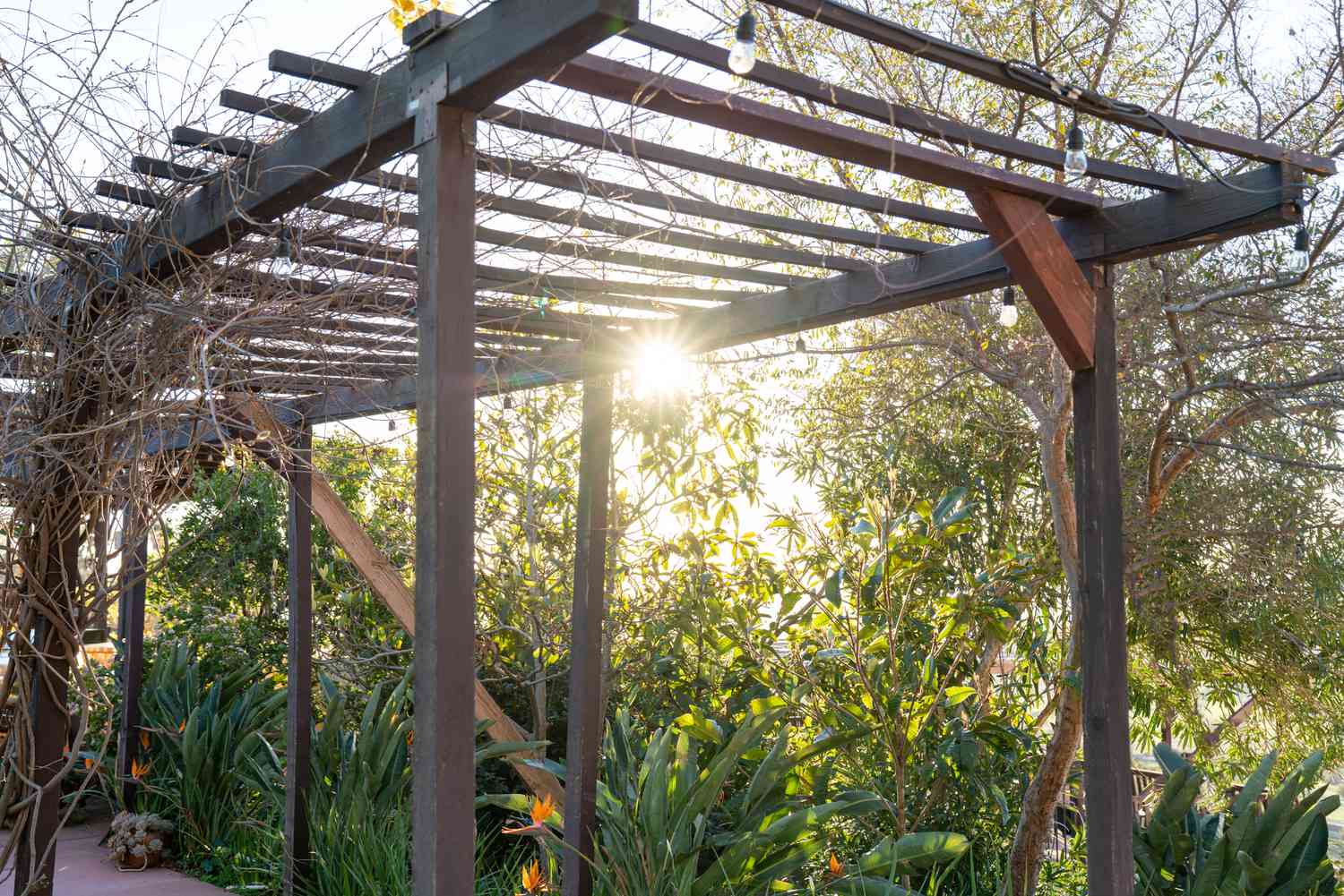 Policarbonato ou Plantas? Qual a Melhor Opção?