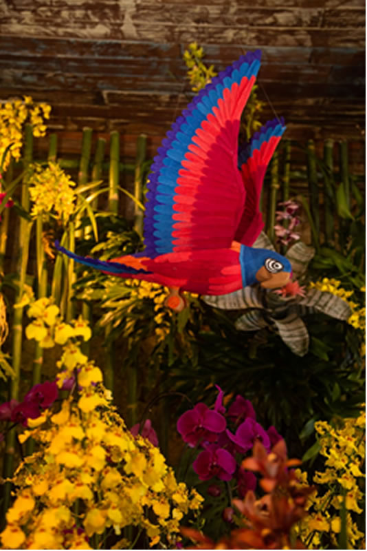 decoração tropical Brasil