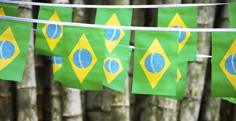 decoração tropical Brasil