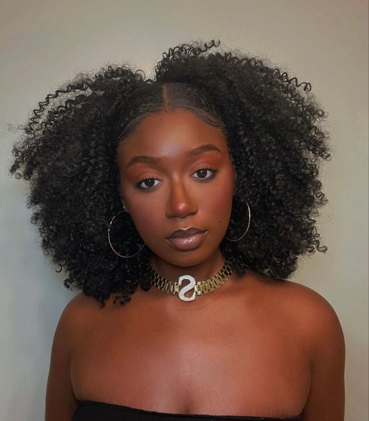 afro puff vs space buns qual melhor para 4c