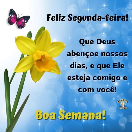 imagens de bom dia segunda com flores