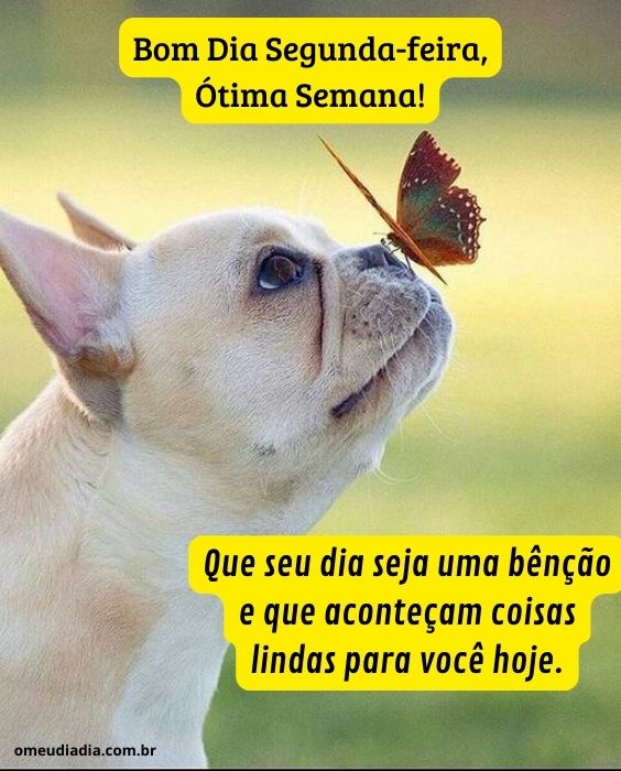 desejos de ótima semana