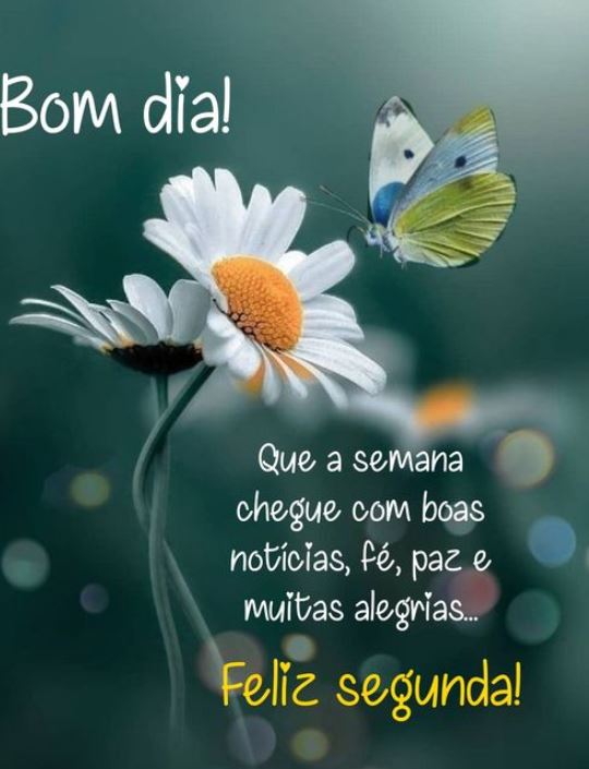 frases curtas bom dia segunda