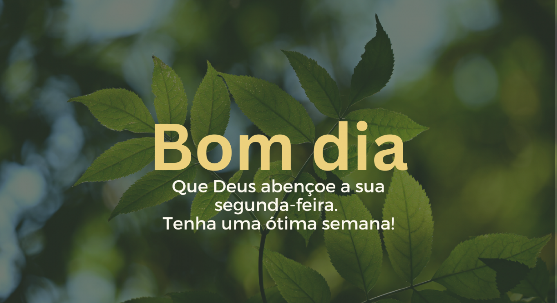 início de semana com gratidão