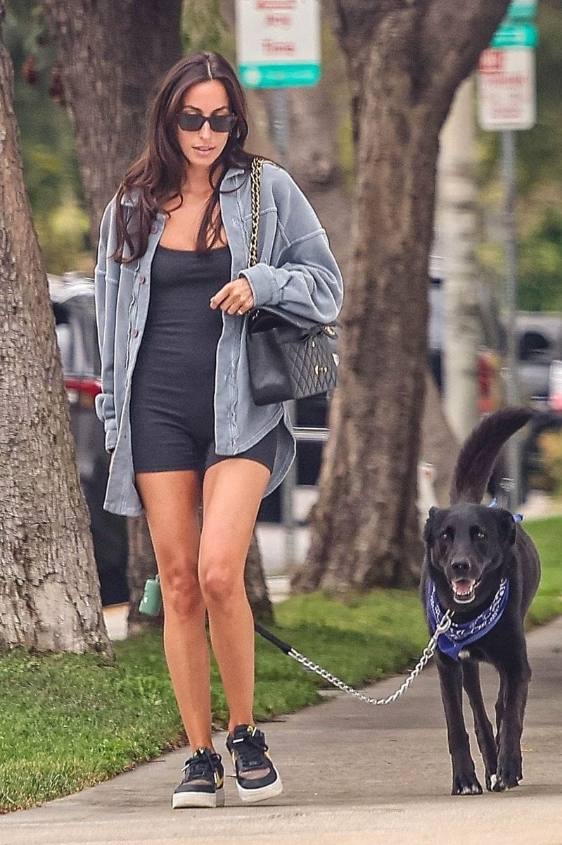 Inés de Ramón e Brad Pitt: Cronologia de um Romance em Hollywood