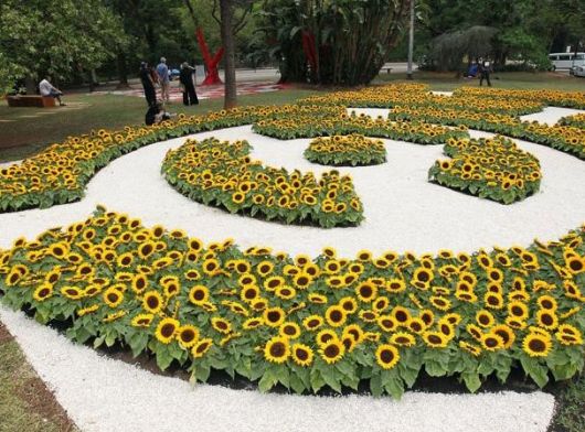 5 ideias de títulos:
1. Descubra os Encantos dos Campos de Girassol no Brasil: Roteiros Imperdíveis.
2. Cultive Seu Próprio Jardim de Girassóis: Guia Completo para Iniciantes.
3. Girassóis: Simbolismo