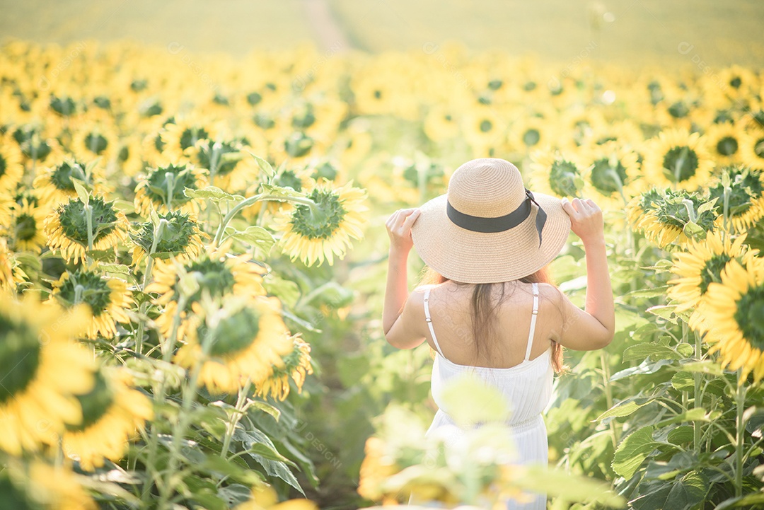 Cultura e Curiosidades que Vão Te Surpreender.
4. Onde Encontrar os Mais Belos Campos de Girassol para Fotos Inesquecíveis.
5. Dicas Essenciais para o Plantio e Cuidado de Girassóis em Casa.