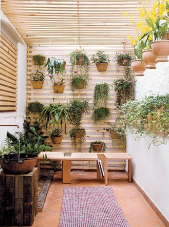 erros comuns ao montar jardim de inverno