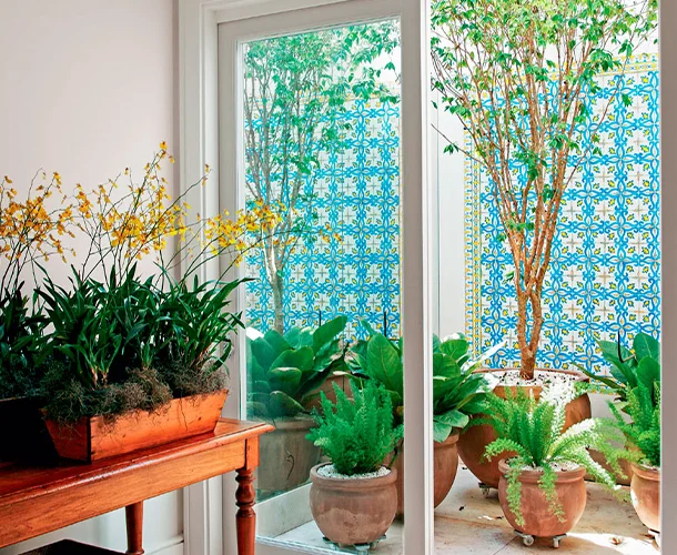 jardim de inverno com pedras