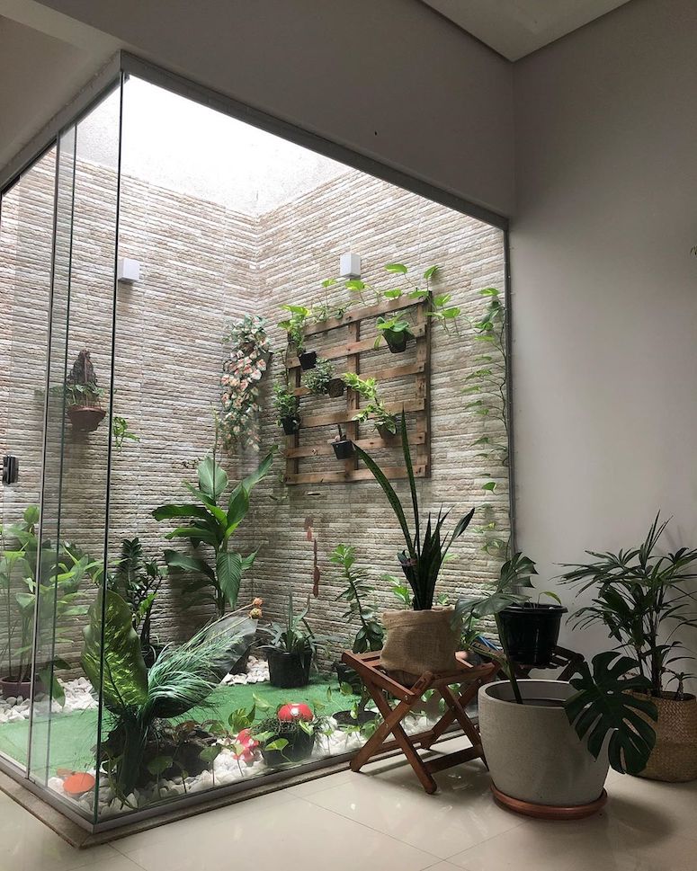 plantas para jardim de inverno com pouca luz