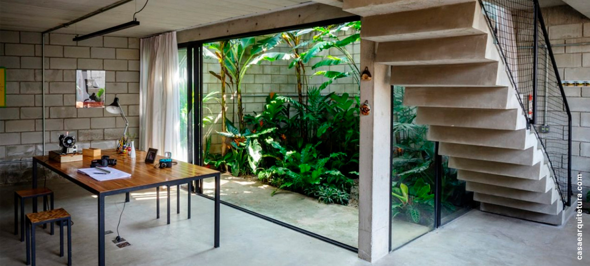 plantas para jardim de inverno com pouca luz