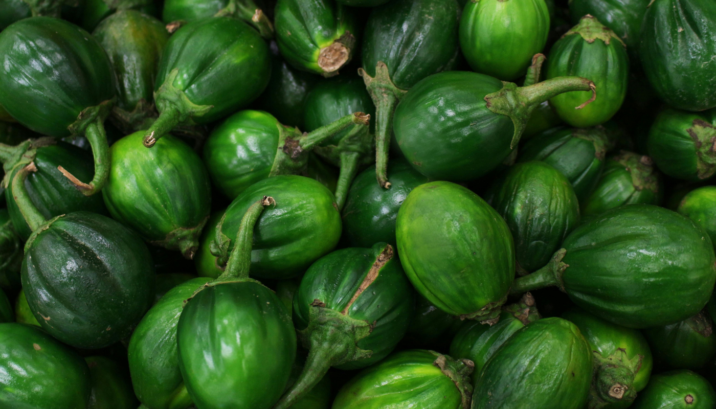 melhores receitas jilo sem amargor