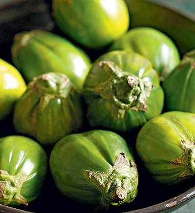 jilo amargo demais o que fazer