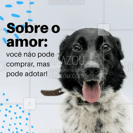 Termos Essenciais para Pet Influencers: Aumente o Engajamento no Instagram