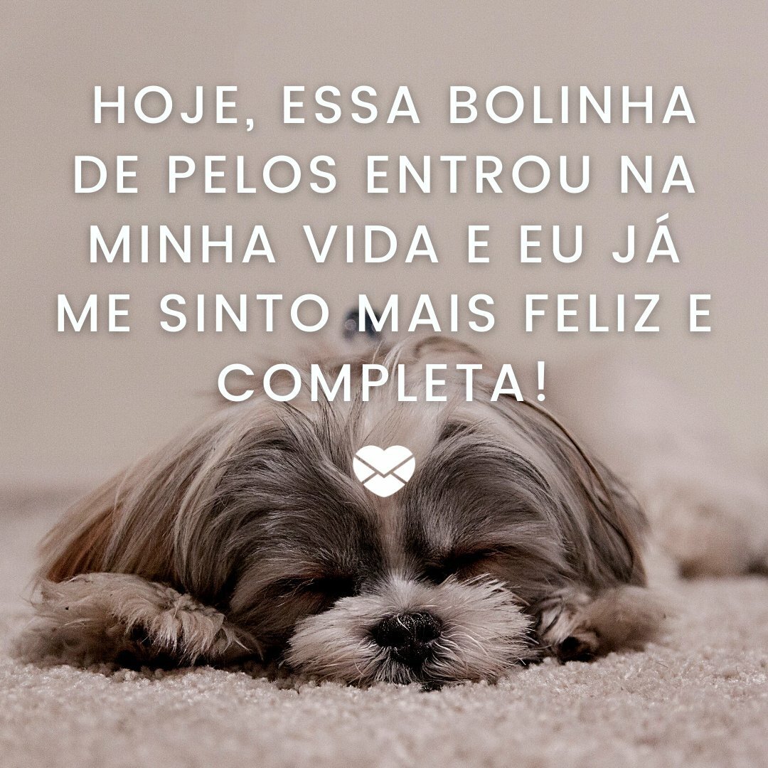 Transforme Suas Fotos: Dicas para Legendas Divertidas e Engajadoras com Seu Cão