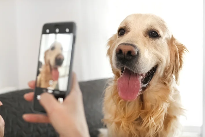 Legenda Para Foto Com Cachorro