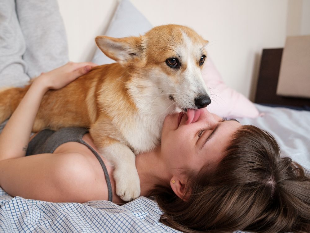 Além do 'Melhor Amigo': Legendas Criativas para Fotos de Cachorro