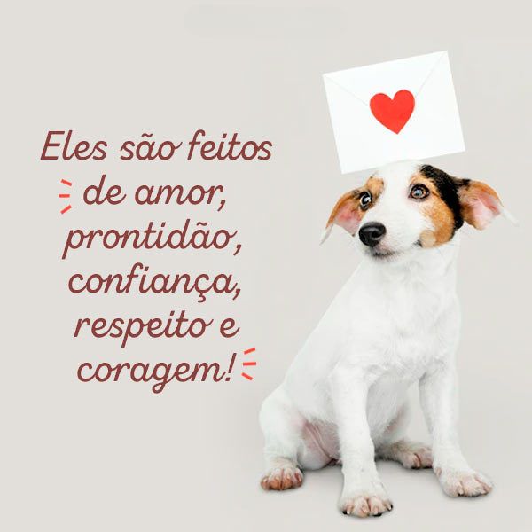 Termos Essenciais para Pet Influencers: Aumente o Engajamento no Instagram