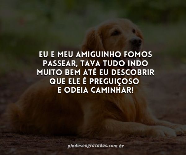 Guia Completo: Como Criar uma Bio Perfeita para o Instagram do Seu Cachorro