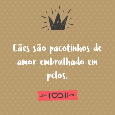 Termos Essenciais para Pet Influencers: Aumente o Engajamento no Instagram