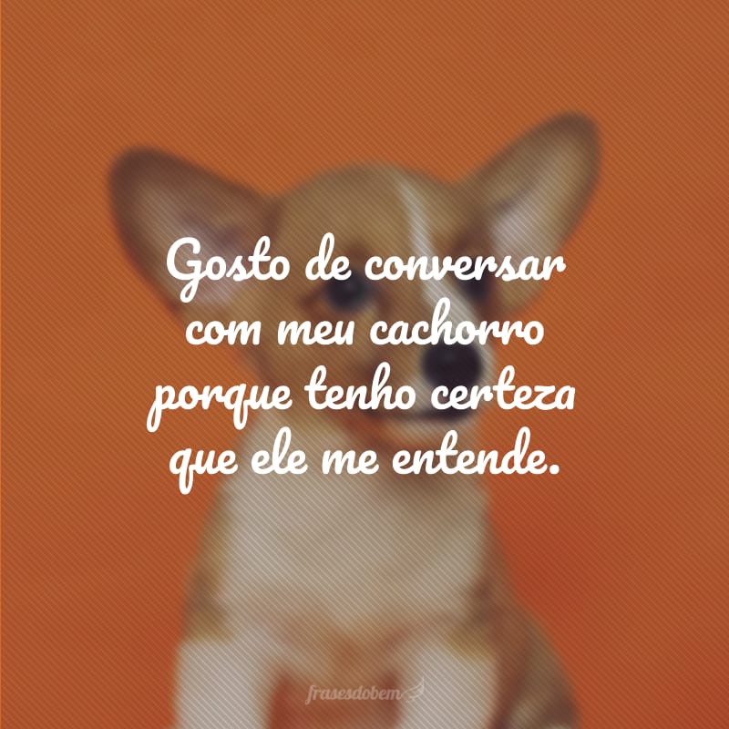 Legenda Para Foto Com Cachorro