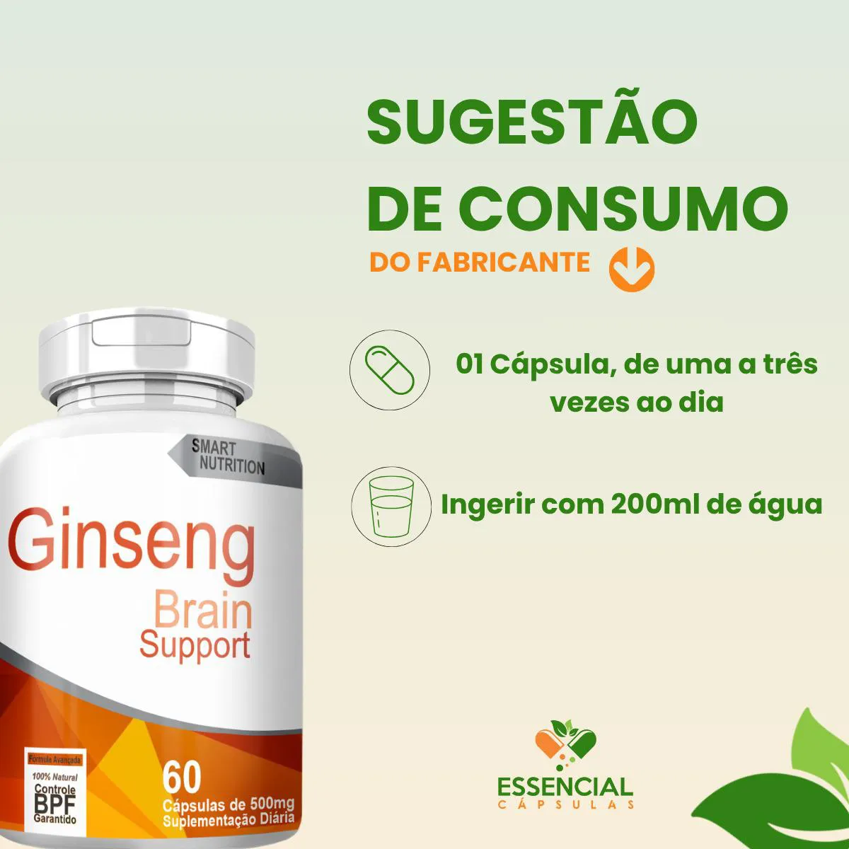 como ter mais energia com ginseng no dia a dia